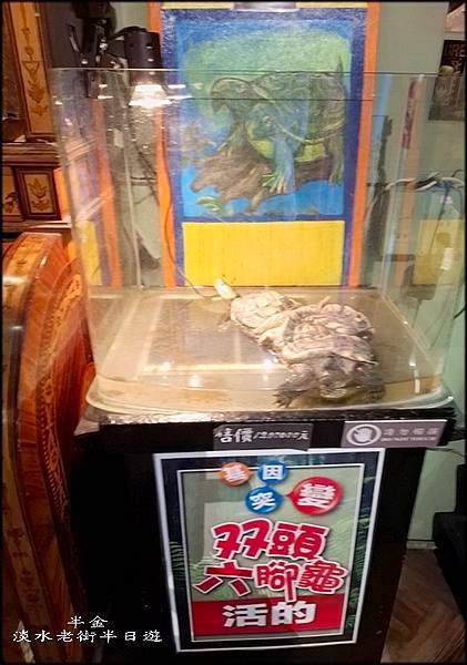 淡水老街半日遊_034.jpg