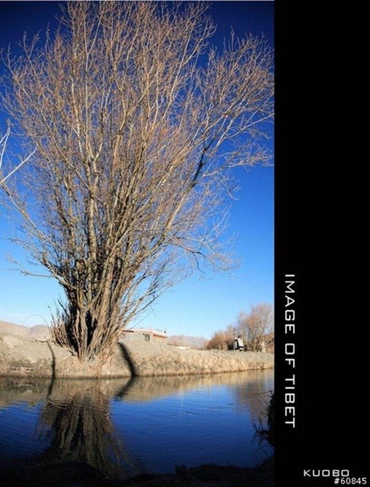 clip_image040