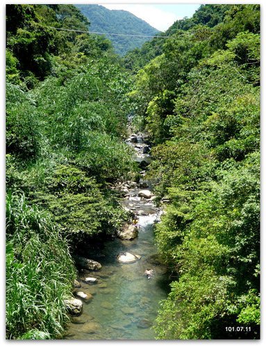 新北烏來 紅河谷古道