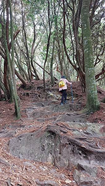 【鳶嘴山】鳶嘴山，全台知名危岩聳壁地形，挑戰驚險峭壁攀岩，走