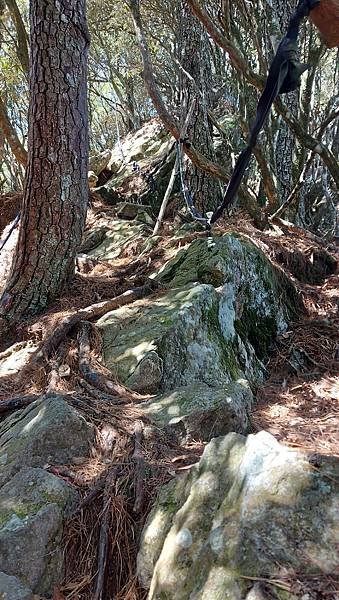 【鳶嘴山、鳶嘴山西陵線】鳶嘴山，因為特別所以誘人，危岩聳立的