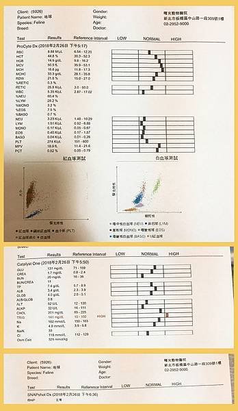 球球健檢結果.jpg