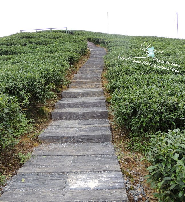 往高處爬
