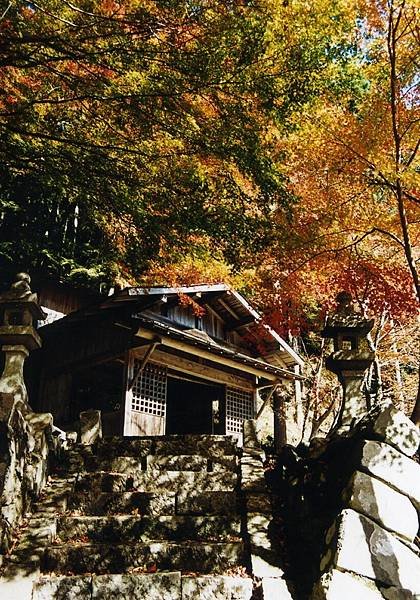 鳥取紅葉地圖