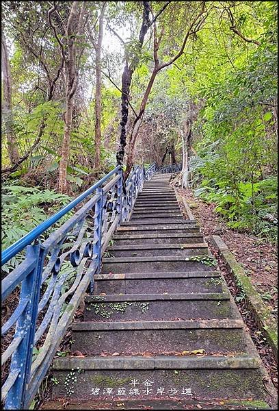 碧潭藍線水岸步道-1_034.jpg