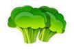 vector-icon-broccoli_small