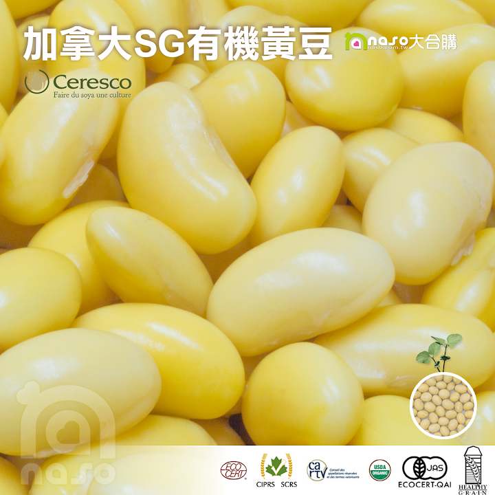 加拿大SG有機黃豆，蛋白質高豆漿就好喝！