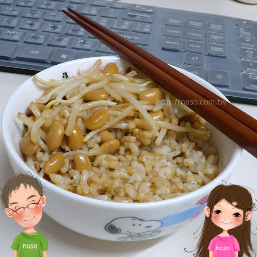 【naso食譜】紅燒黃豆控肉 (搭配自製豆芽，讚讚讚！)
