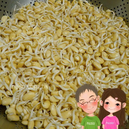 【naso食譜】紅燒黃豆控肉 (搭配自製豆芽，讚讚讚！)