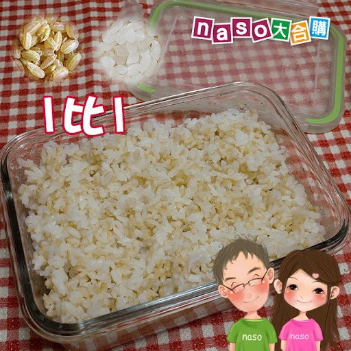 【naso食譜】紅燒黃豆控肉 (搭配自製豆芽，讚讚讚！)