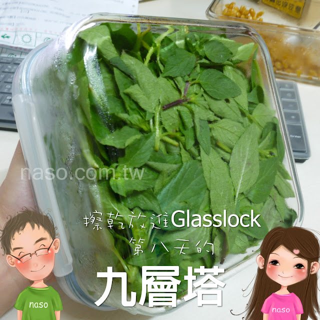 Glasslock強化玻璃保鮮盒-九層塔不會變黑
