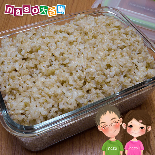 【naso食譜】紅燒黃豆控肉 (搭配自製豆芽，讚讚讚！)