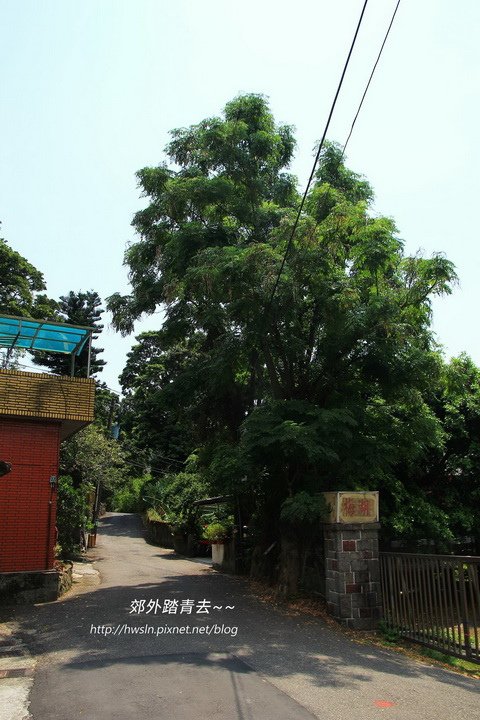 百年山菜豆，位於湖山國小附近