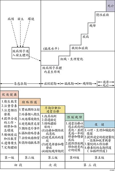 三段五級