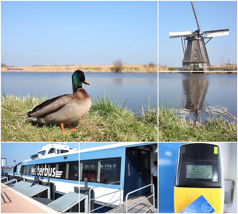 travel-Netherlands-Rotterdam-Kinderdijk-BLOG-17docintaipei (1)