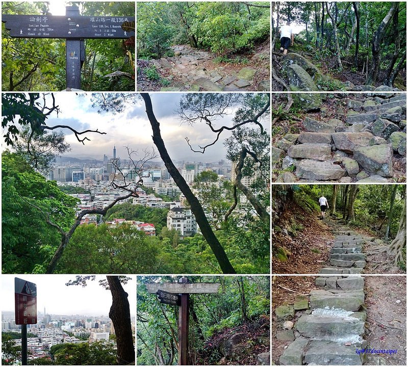 TAIPEI-bush walking-台北郊山健行-內湖金面山剪刀石-17度C隨拍 (6)