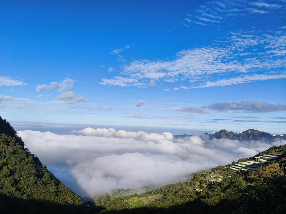 阿里山追雲海