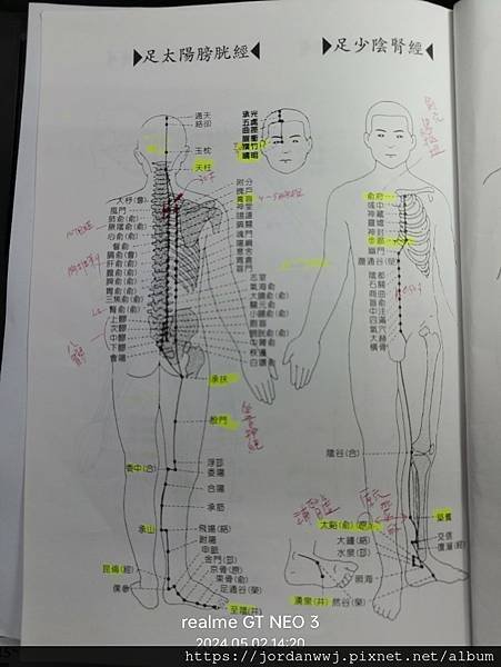 01-【十二經脈流】與【臟腑】時辰流注關係【速記圖】

 
