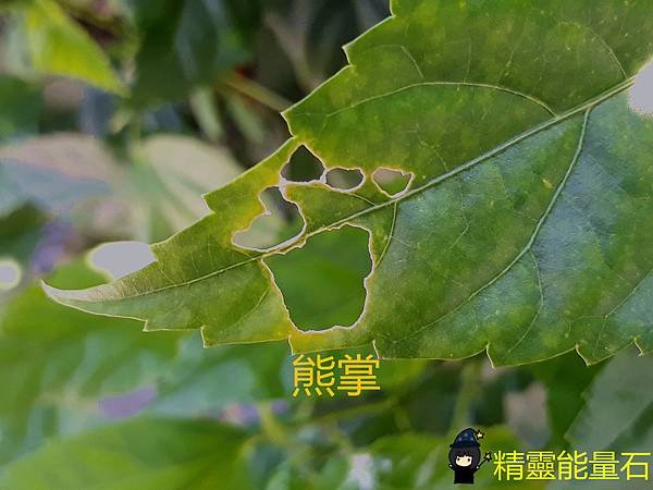 20180913_090054o.jpg
