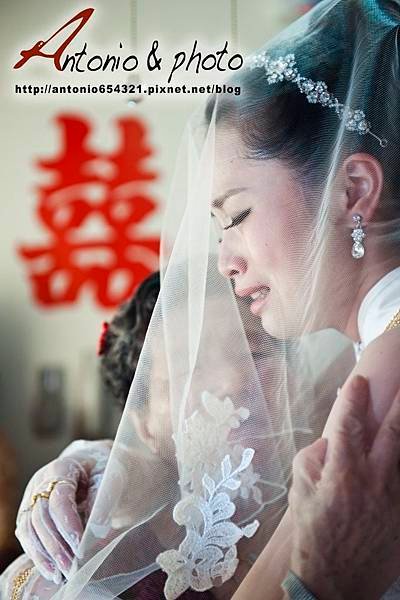 LIN_33541
