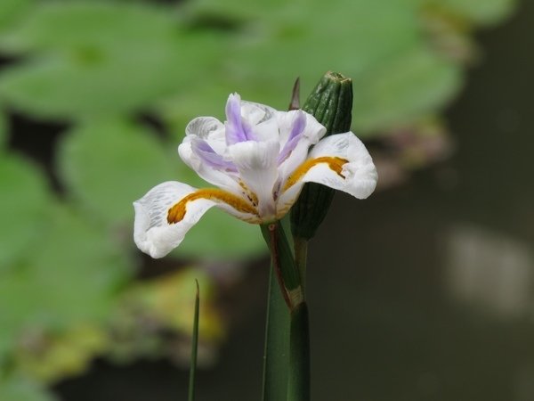 IMG_2354.jpg