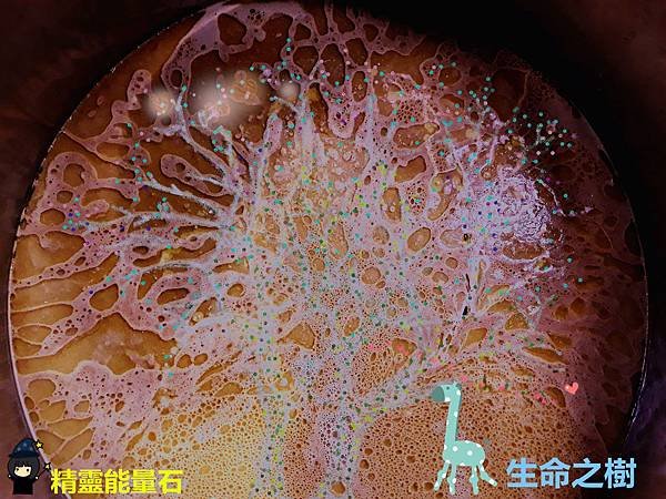 20181027_080612z_副本.jpg