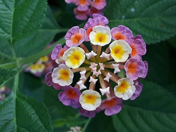 20180909_063533.jpg