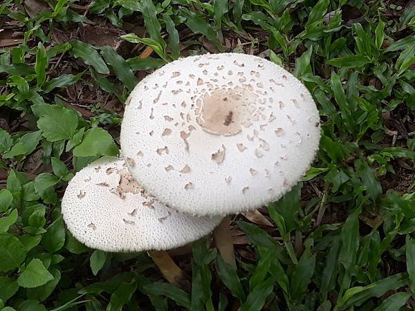 20180901_114821.jpg