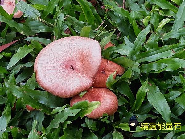 20180901_115158.jpg