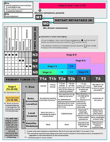 figure-5.jpg