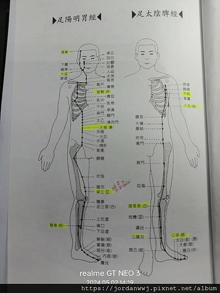 01-【十二經脈流】與【臟腑】時辰流注關係【速記圖】

 
