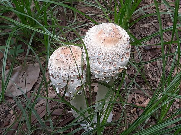 20180901_114923.jpg