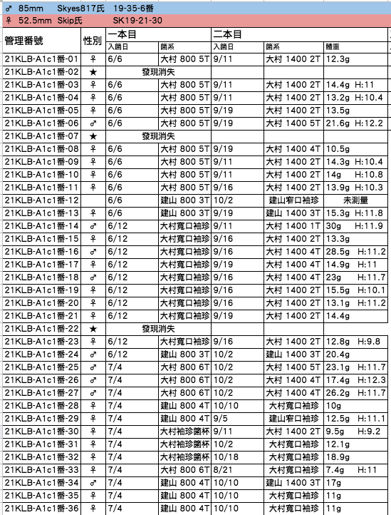 屏幕快照 2021-10-19 上午3.08.58.png