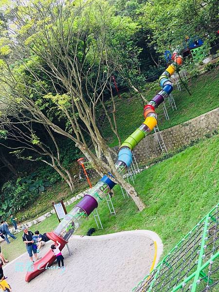 &lt;三峽公園&gt;來中山公園挑戰:療癒森林的&quot;彩色水管滑梯&quot;+跑酷棧道大考驗