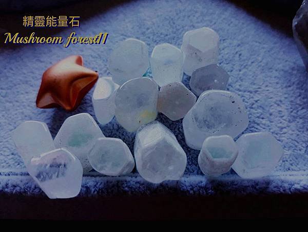 IMG-5064_副本.jpg