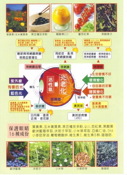 眼睛.jpg