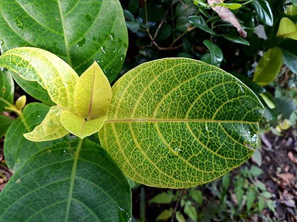 20180907_062524.jpg