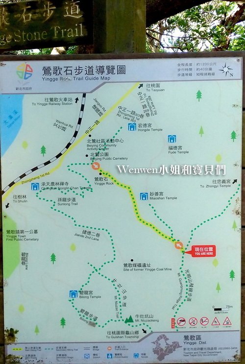 2020.08 新北微笑山線 親子登山步道  光明山稜線步道 (2).jpg