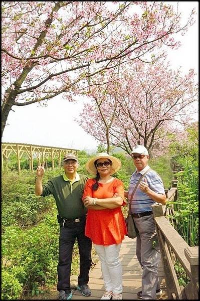 三生步道櫻花盛開_031.jpg