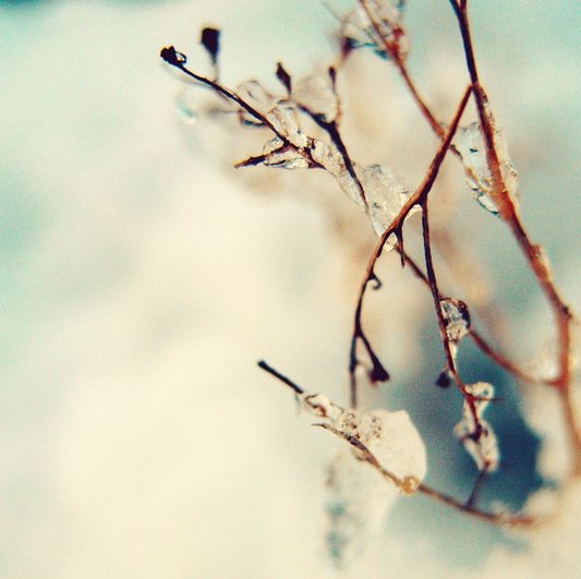 winter-wallpaper-20.jpg