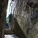_DSC8113.jpg