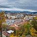 _DSC6736.jpg