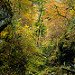 _DSC0123.jpg
