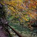 _DSC6267.jpg