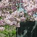_DSC0659.jpg