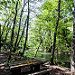_DSC0299.jpg