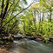 _DSC0306.jpg