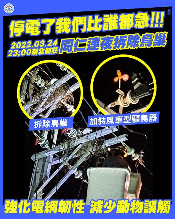 台電因鳥築巢及動物誤觸的停電事故.jpg