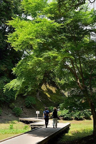 君津市 濃溝瀑布·龜岩洞窟 龜山湖