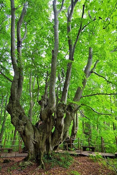 05中島台・獅子ヶ鼻湿原